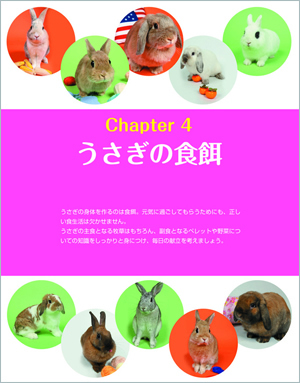 うさぎと一生暮らす本