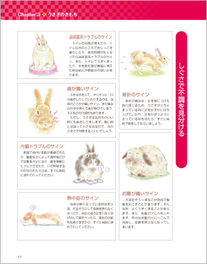 うさぎと一生暮らす本