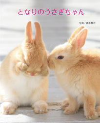 写真集 となりのうさぎちゃん