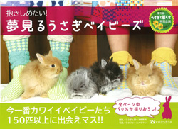 「抱きしめたい!　夢見るうさぎベイビーズ」