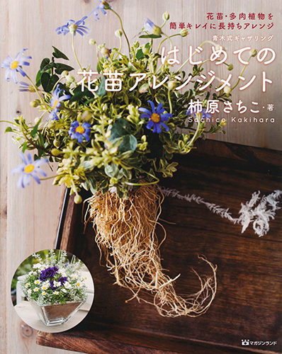 はじめての花苗アレンジメント 